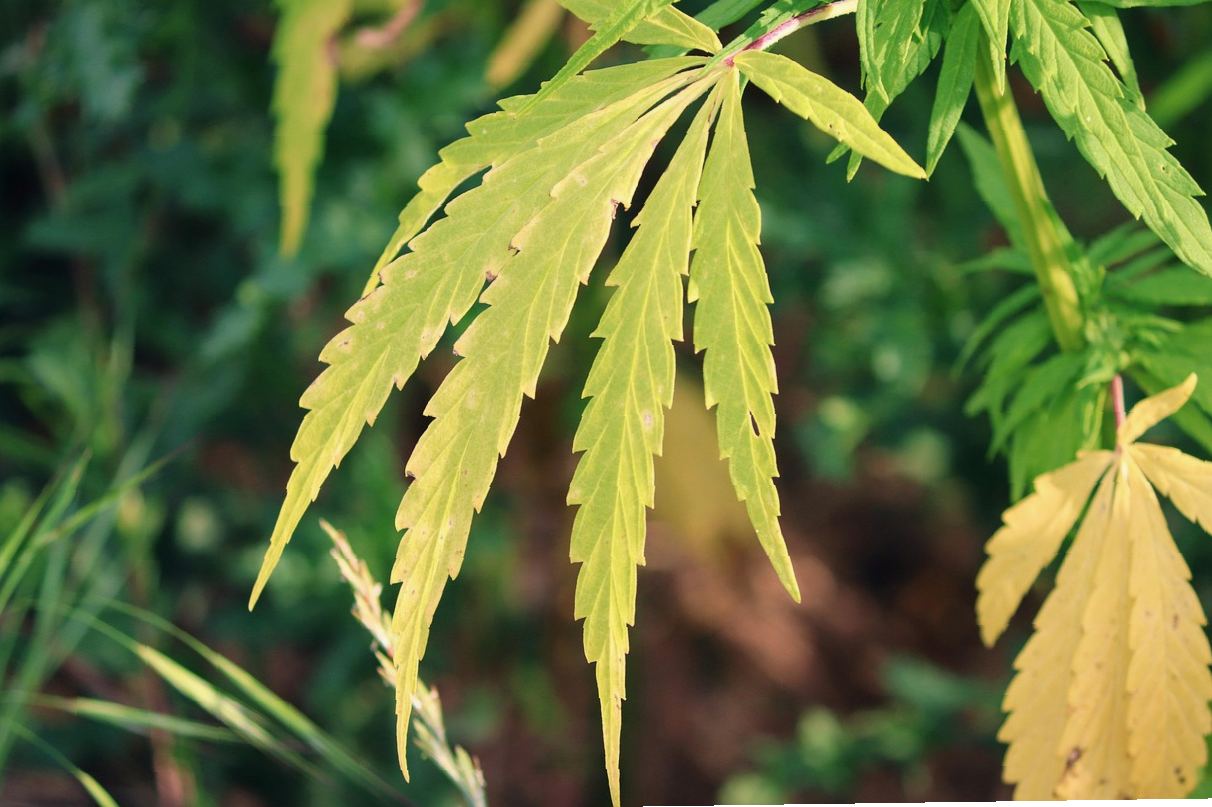 山西威威科技 核心 实拍展示 能源管理体系软件：帮助企业优化资源配置， 5